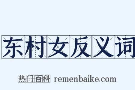 东村女反义词是什么意思的图片